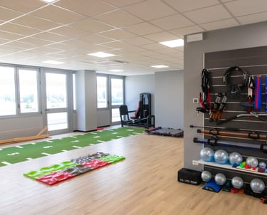 palestra del poliambulatorio fysiodelta parma