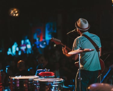 Musician performing for the event crowd