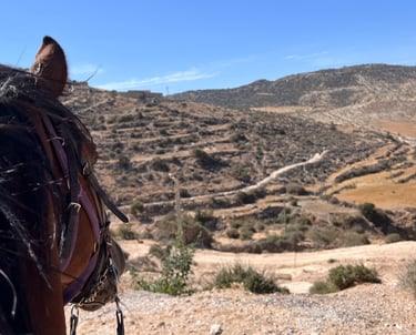 vue sur la vallée depuis le haut d'une petite montagne avec la tête d'un cheval