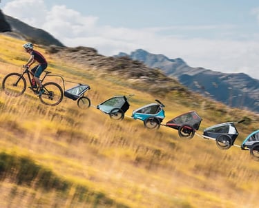 Fahrradanhaenger-Modelle-Thule Chariot-Croozer-Queridoo-Kinderfahrrad-Befestigung