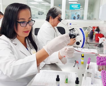 Químico IMSS Bolsa de Trabajo IMSS Vacantes IMSS Empleos IMSS Trabajar en el IMSS