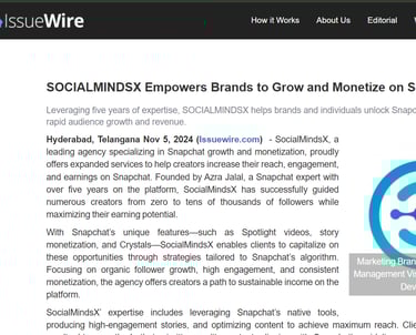 a social media page with a socialmindsx logo