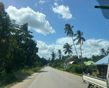 Scenic road leading to a Zanzibar village, offering tourists a picturesque journey through lush landscapes