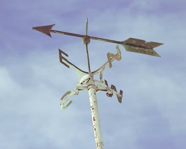 objectifs clair direction résultats