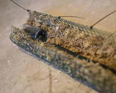 Photo showing how the jar and rope waters the self watering moss pole