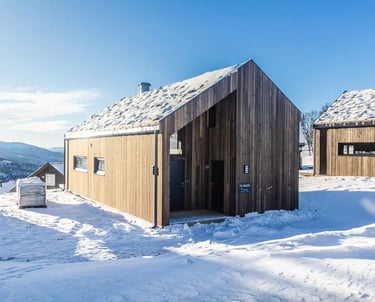 Wooden cabins