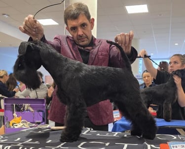 Panzer, Championnats France toilettage