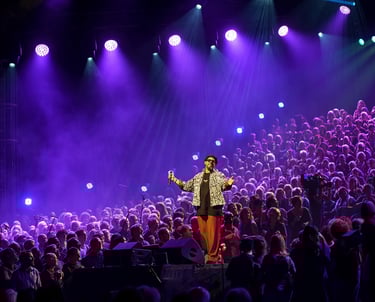 concert grand choral a troyes avec ben l'oncle soul