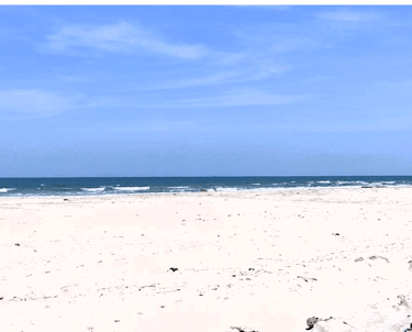 Nestle Sahyadri Beachfront Homestay Murdeshwar