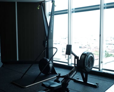 Skierg Rower Fitzone Medan