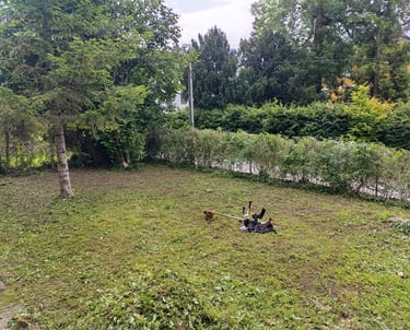 Garten-Rodung nachher