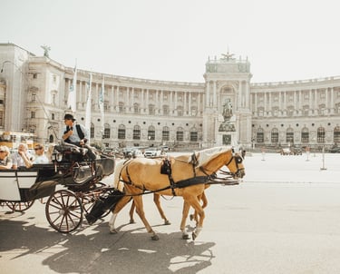 Vienna horses