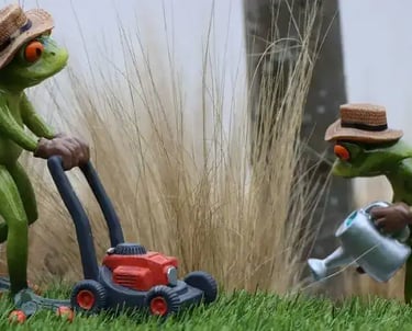 Entretien du jardin