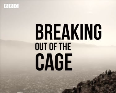 Breaking out of the Cage, a short documentary for BBC News, by Musa Yawari and Kevin Kim.