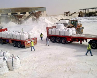 Our Loading Operations ،Bullkssalts destinations 