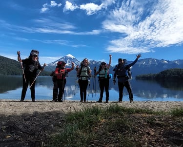 VOLCÁN LANÍN DE FONDO