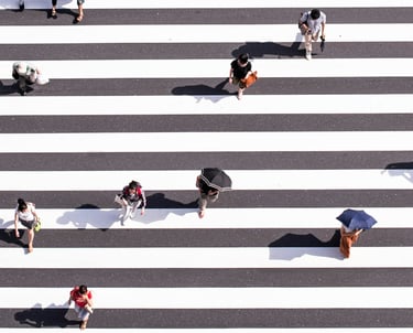Pedestrians crossing a major road