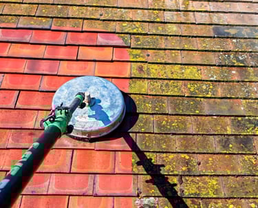 Roof cleaning Cambridge