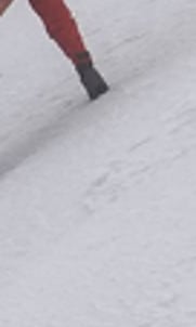 two climbers in the snow, mountain guide and coach, mist, ice