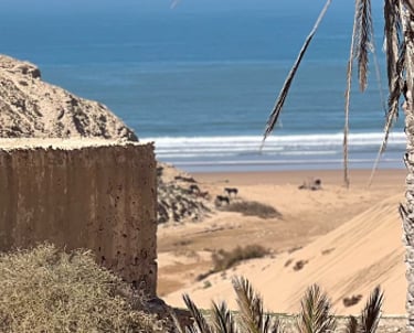palmiers, dunes et plage dans la campagne marocaine