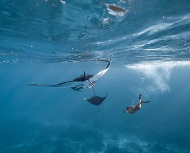 Snorkeling