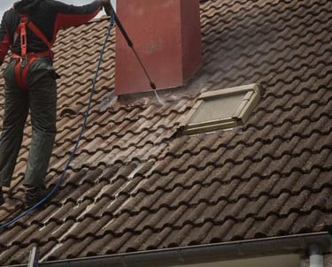 démoussage toiture, nettoyage toit, traitement anti-mousse, toiture propre