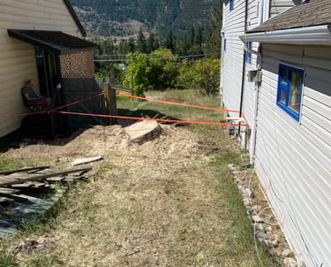 Hazard tree removal Chase