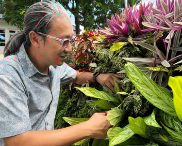 Landscaper pruning plants on a greenwall