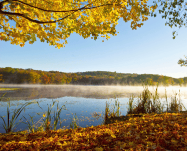 solve the problem of how to be financially free