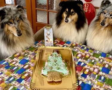 gâteau noel pour chiens