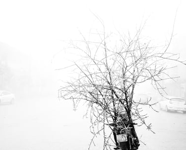 Benoît Daniel-Pham, documentary, street photography, Leica