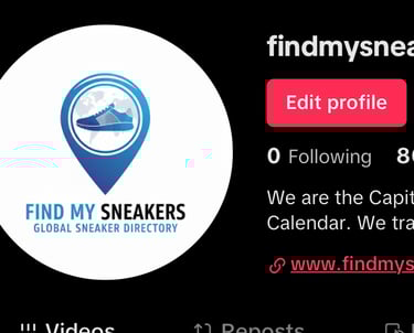 find my sneakers TikTok account 80k followers