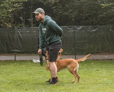 Hundeschule in Kiel. Individuelles Hundetraining mit Fokus auf klare Kommunikation