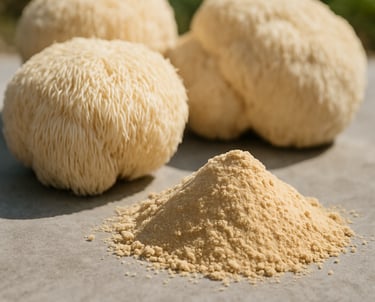 Lion’s Mane Powder