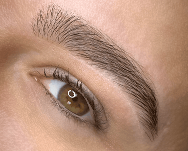 a woman with a white eye and brown eyes eyebrow design