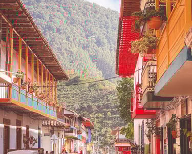 Jardin center in Colombia