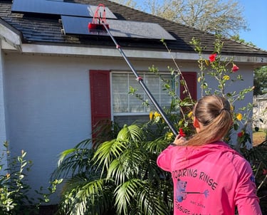 solar panel cleaning company