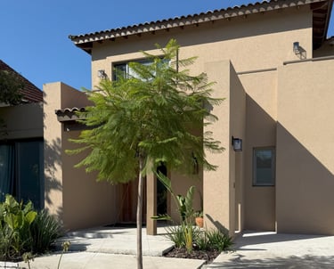 a house with a tree in the front yard