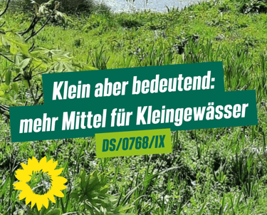 Sharepic zum Antrag mit dem Foto einer Wiese und einem Kleingewässer im Hintergrund.