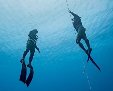 Freediving on Curacao