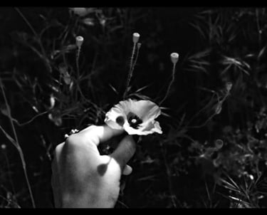 a delicate black and white image of a hand picking a beautiful flower
