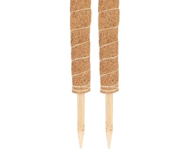 Coco coir moss pole