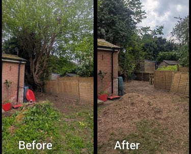 how to remove a tree stump by hamilton trees and gardens