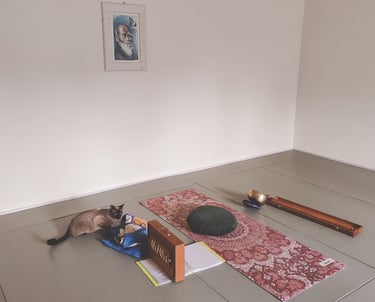 Sala per la pratica Aikido e Yoga