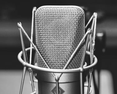vokalo irasymas suvedimas vilniuje nec records