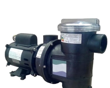 Bomba de piscina na cor preto