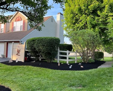 excellent landscaping and hardscaping of grass, stones and trees by NP Landscaping