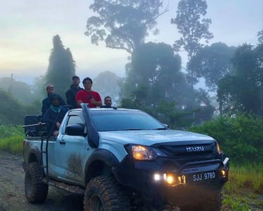 Guests on a 4x4 safari truck during an early morning wildlife tour in Deramakot Forest, Sabah Borneo
