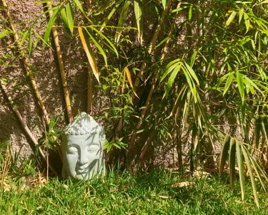a statue of a buddha head in a bamboo garden at Indigo Star House Madeira