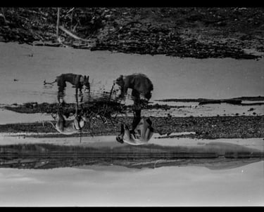 the mirage reflection of a woman and her dog contributing to a greater picture of nature together